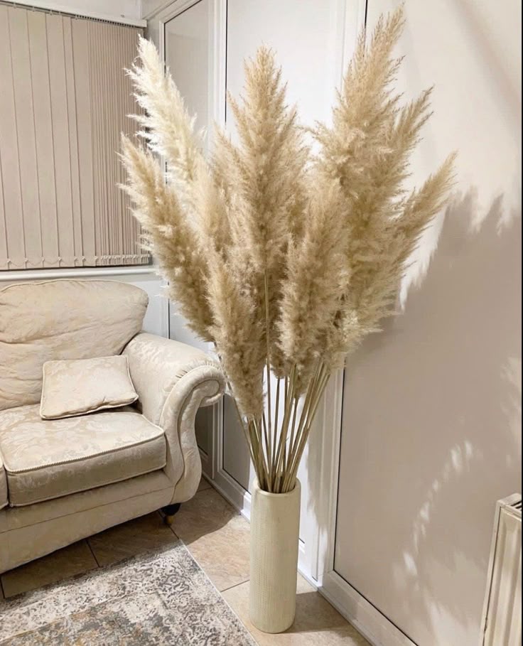 Dried Pampas Grass bundel