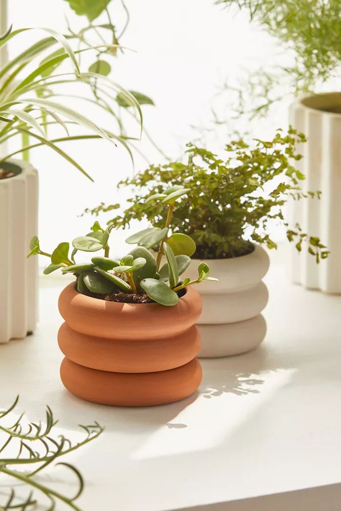 Ceramic Planters
